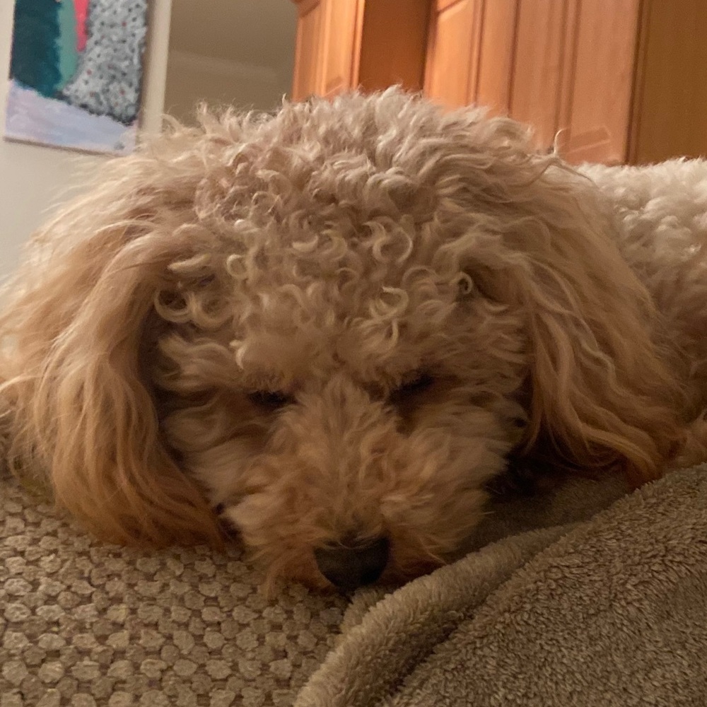 Meet your Posher, Courtney